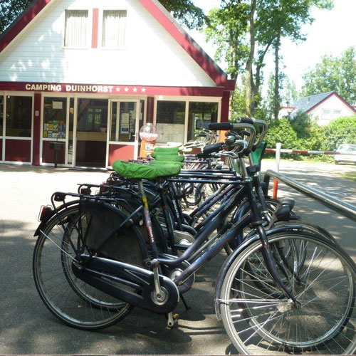 Bicycle rental