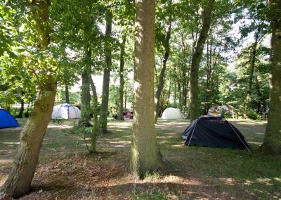 camping-duinhorst-wassenaar-57