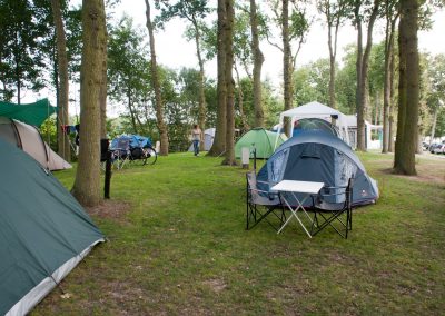 Camping Duinhorst - Wassenaar